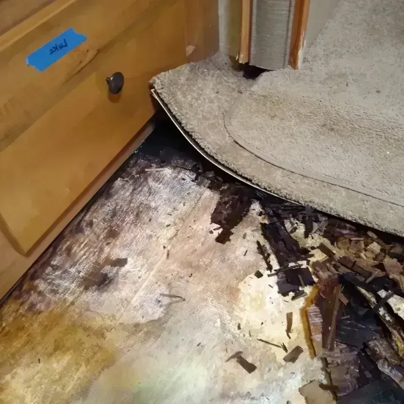 Wood Floor Water Damage in Beaver County, UT